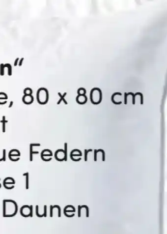 AWG Mode Bayern Kopfkissen Angebot