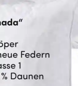 AWG Mode Canada Kopfkissen Angebot