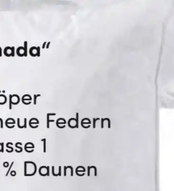 AWG Mode Canada Kopfkissen Angebot