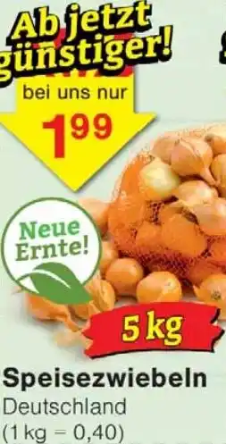 Wiglo Wunderland Speisezwiebeln Angebot