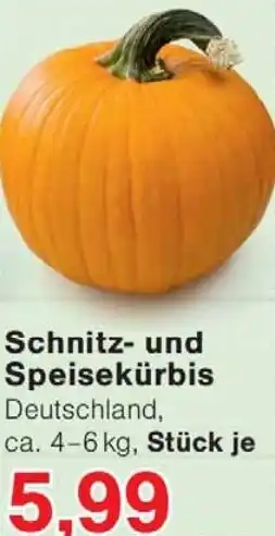 Wiglo Wunderland Schnitz- und Speisekürbis Angebot