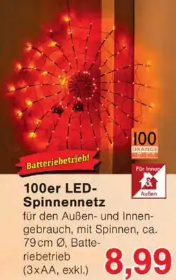 Wiglo Wunderland 100er LED- Spinnennetz Angebot