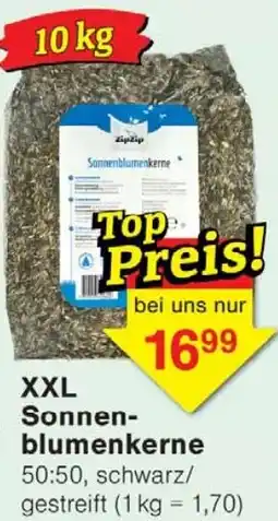 Wiglo Wunderland XXL Sonnenblumenkerne Angebot