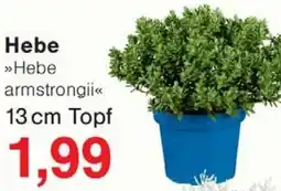 Wiglo Wunderland Hebe Angebot