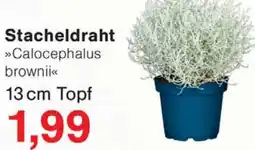 Wiglo Wunderland Stacheldraht Angebot