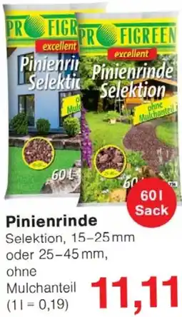 Wiglo Wunderland Pinienrinde Angebot