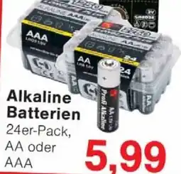 Wiglo Wunderland Alkaline Batterien Angebot