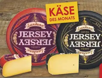 Famila Nord West Landana Jersey alt oder pikant Angebot