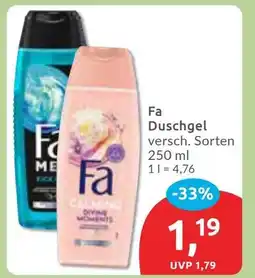 Budni Fa Duschgel Angebot