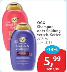 Budni OGX Shampoo oder Spülung Angebot