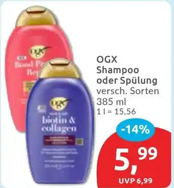 Budni OGX Shampoo oder Spülung Angebot
