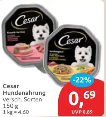 Budni Cesar Hundenahrung Angebot