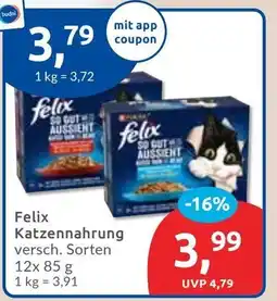 Budni felix Katzennahrung Angebot