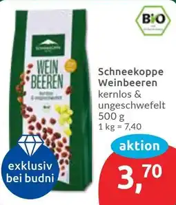 Budni Schneekoppe Weinbeeren Angebot