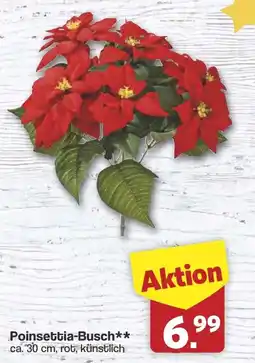 Famila Nord West Poinsettia-Busch Angebot