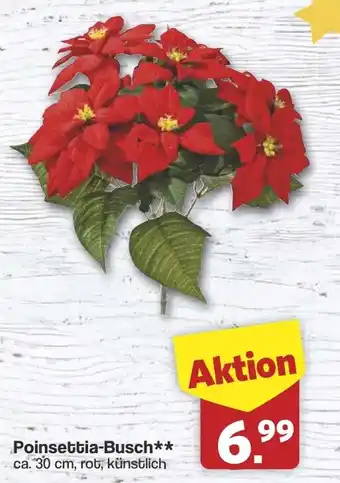 Famila Nord West Poinsettia-Busch Angebot