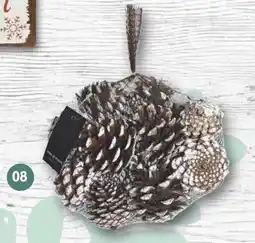 Famila Nord West Tannenzapfen Angebot