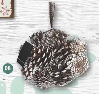 Famila Nord West Tannenzapfen Angebot