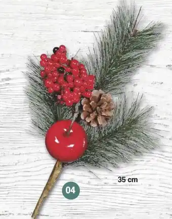 Famila Nord West Kiefern-pick ca. 35 cm Angebot
