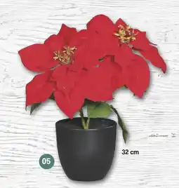 Famila Nord West Poinsettia ca. 32 cm Angebot