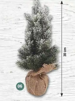 Famila Nord West Tannenbaum ca. 30 cm Angebot