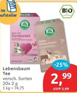 Budni Lebensbaum Tee Angebot