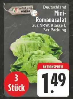 Edeka Mini-Romanasalat Angebot