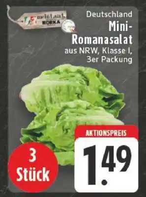Edeka Mini-Romanasalat Angebot