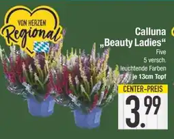 Edeka Calluna Beauty Ladies Angebot