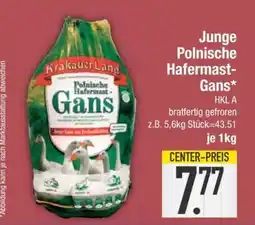 Edeka Junge Polnische Hafermast-Gans Angebot