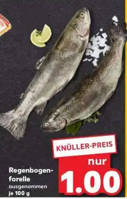 Kaufland Regenbogenforelle Angebot