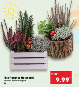 Kaufland Bepflanztes Holzgefäß Angebot