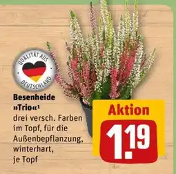 REWE Besenheide Trio Angebot
