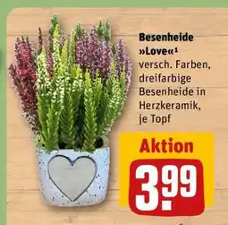 REWE Besenheide Love Angebot