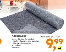 Globus Baumarkt Abdeckvlies Angebot