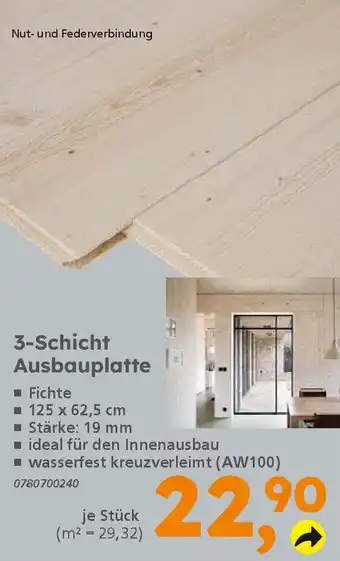 Globus Baumarkt 3-Schicht Ausbauplatte Angebot