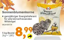 Globus Baumarkt elles Sonnenblumenkerne Angebot