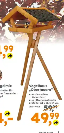 Globus Baumarkt Vogelhaus „Obertauern" Angebot