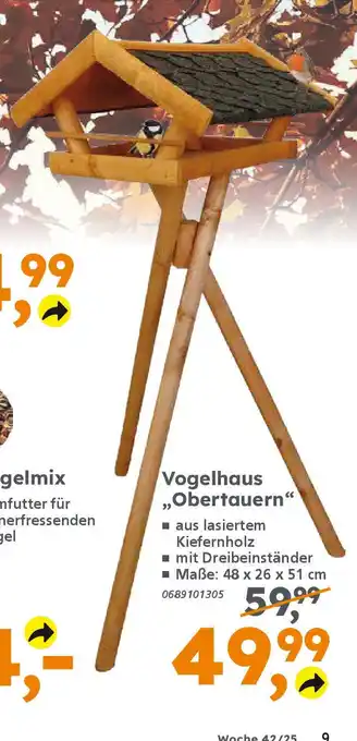 Globus Baumarkt Vogelhaus „Obertauern" Angebot