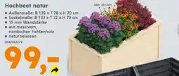 Globus Baumarkt Hochbeet natur Angebot