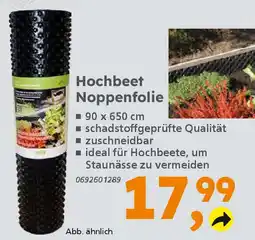 Globus Baumarkt Hochbeet Noppenfolie Angebot