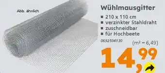 Globus Baumarkt Wühlmausgitter Angebot