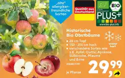 Globus Baumarkt Historische Bio Obstbäume Angebot