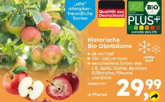 Globus Baumarkt Historische Bio Obstbäume Angebot