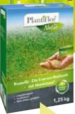 BayWa Plantiflor Rasennachsaat Rasenfit Express Angebot
