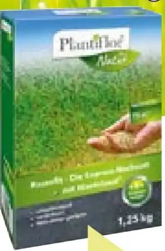 BayWa Plantiflor Rasennachsaat Rasenfit Express Angebot