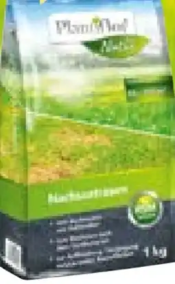 BayWa Plantiflor Nachsaatrasen Angebot