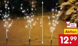 Netto Marken-Discount Dekor LED-Gartenstecker Angebot