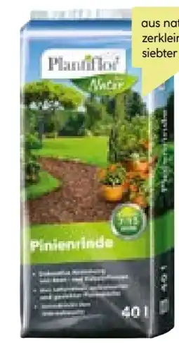 BayWa Plantiflor Pinienrinde Angebot