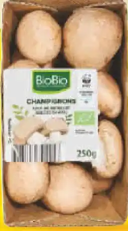 Netto Marken-Discount BioBio Bio Champignon Angebot